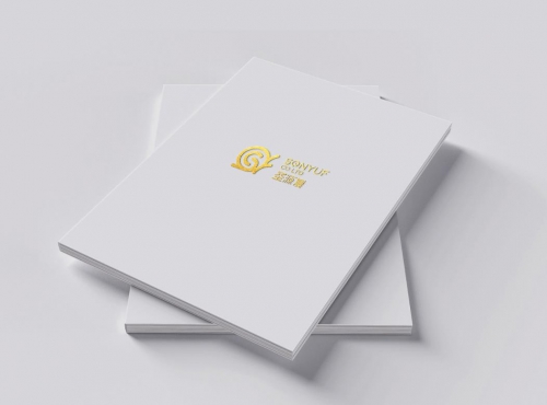 企業(yè)畫冊(cè)設(shè)計(jì)有哪些風(fēng)格?