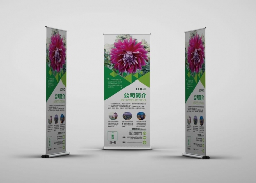 易拉寶常規尺寸有那些？